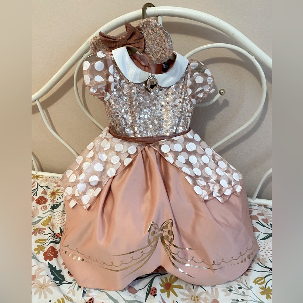 Minnie Mouse dress costume